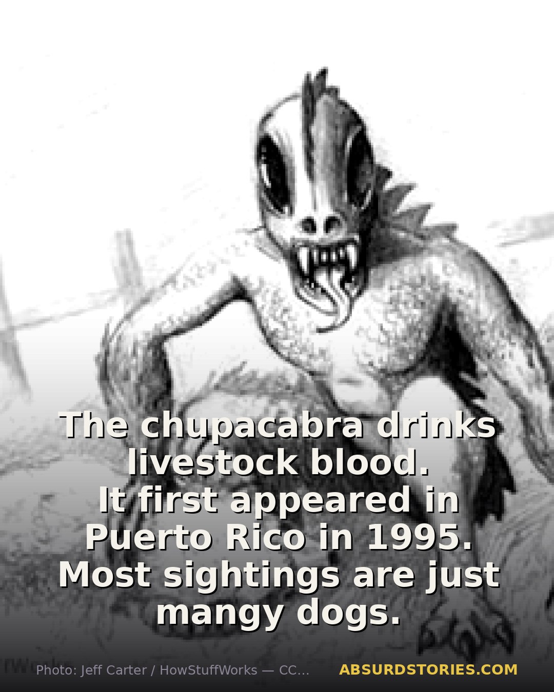 The Legend of the Chupacabra: Myth or Reality?