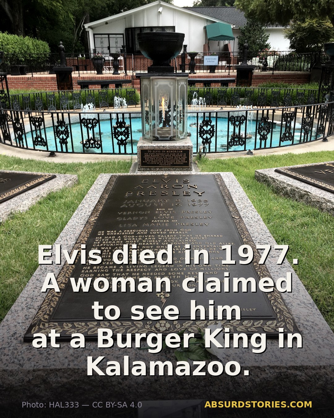 The Elvis sighting that sparked a conspiracy craze
