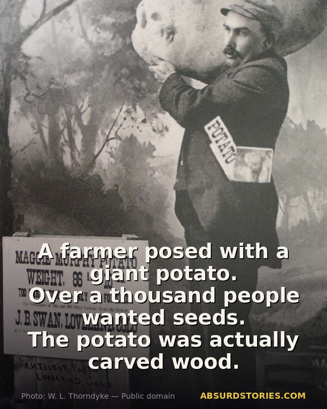 The giant potato that sparked a nationwide hoax