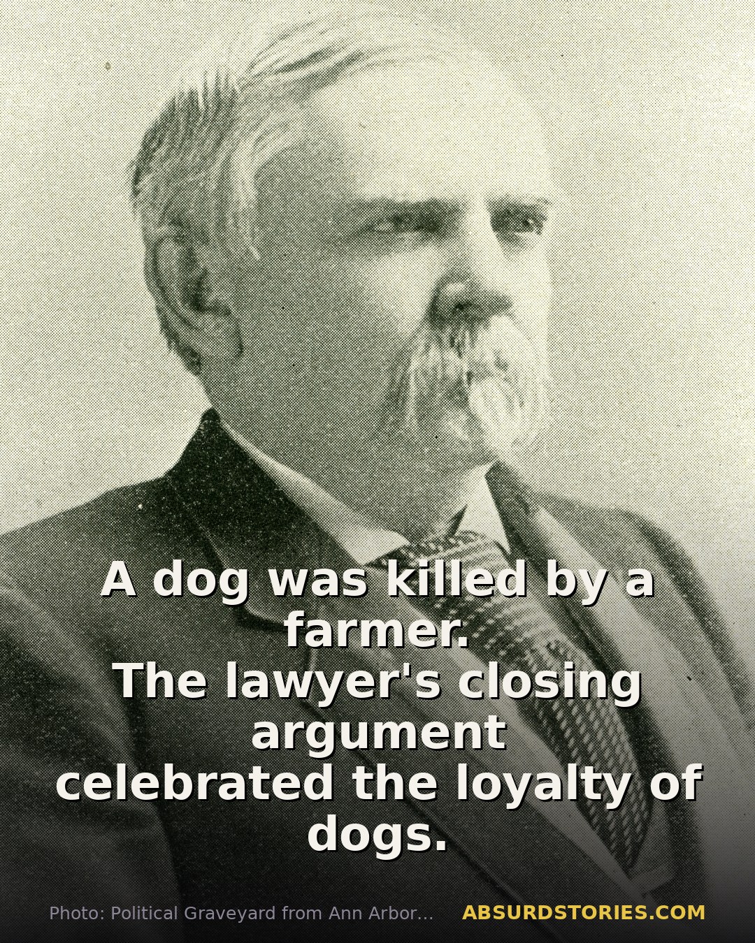 A lawyer's heartfelt defense of a dog in court