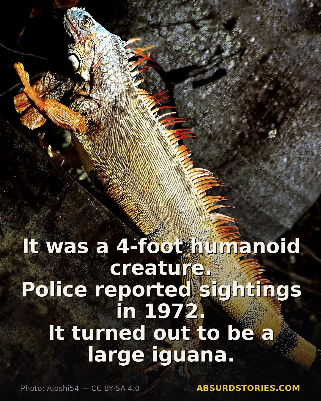 The Legend of the Loveland Frogman