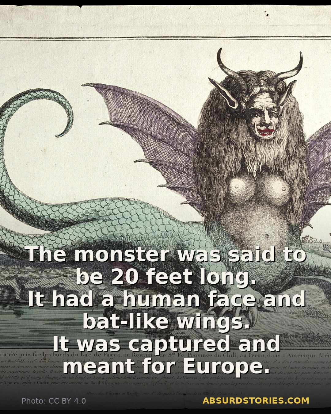 The creature that captivated Europe from Chile