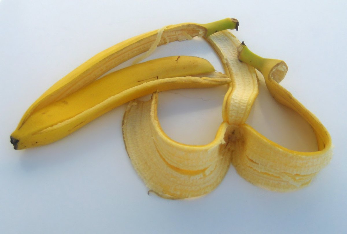 The absurd hoax of psychoactive banana peels