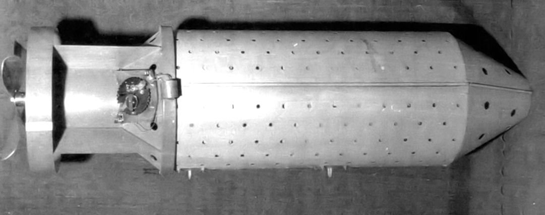 The bizarre WWII plan to use bats as weapons