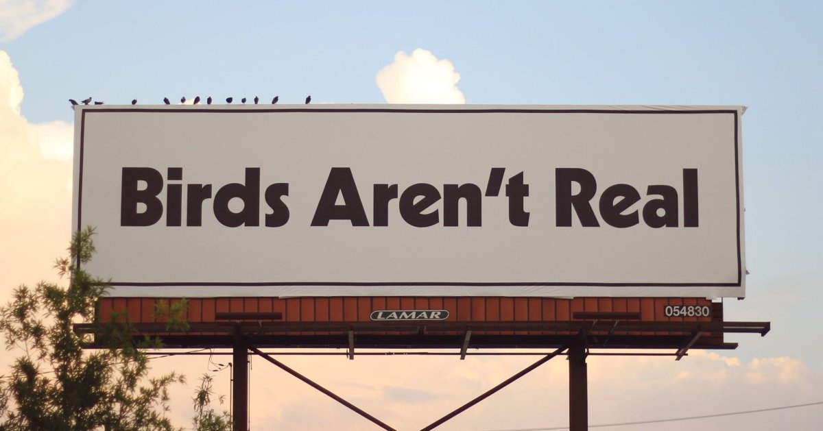 The bizarre theory that birds are drones