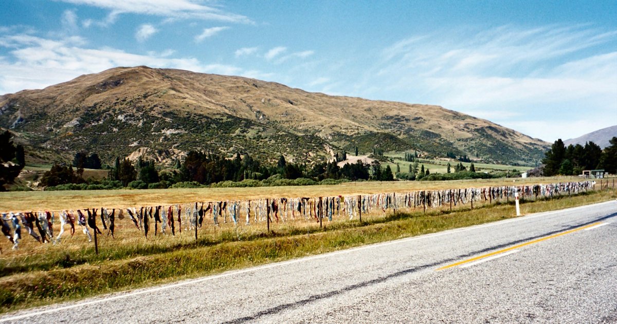 The curious case of a bra-covered fence in New Zealand