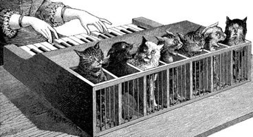The bizarre concept of a cat organ