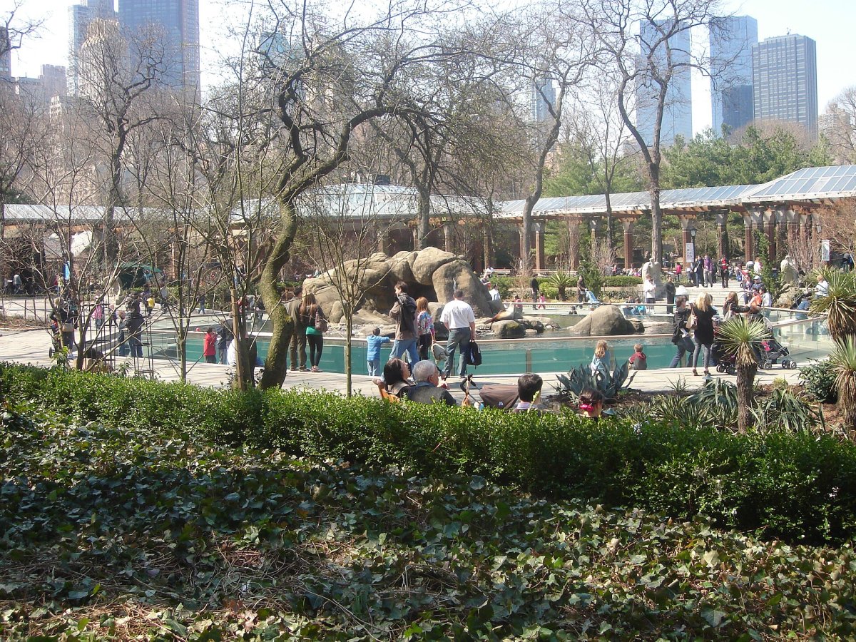 Central Park Zoo: A Historic Urban Escape