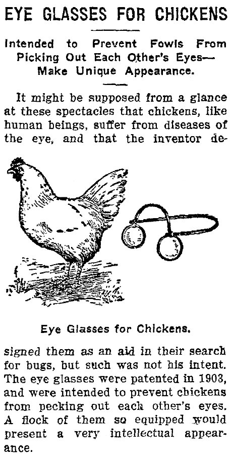 The absurd invention of chicken eyeglasses