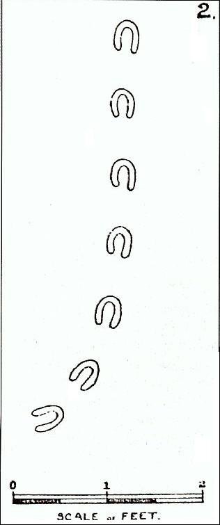 Mysterious hoofprints baffled Devon in 1855