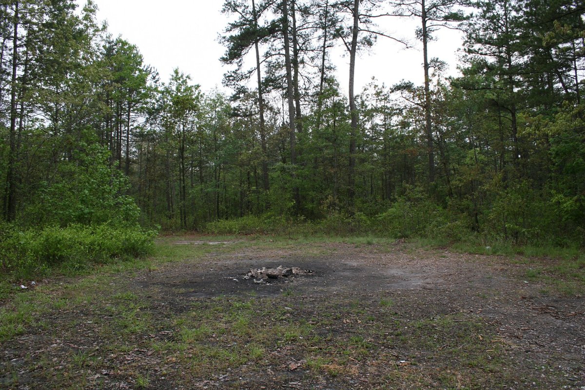 The haunted camping spot with a barren circle