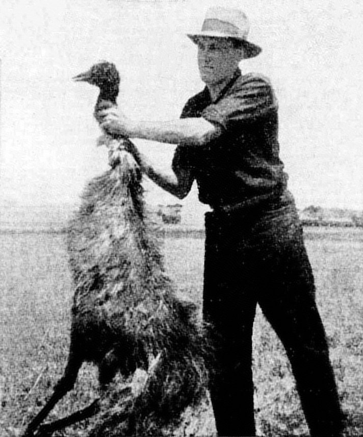 Australia's bizarre war against emus failed spectacularly