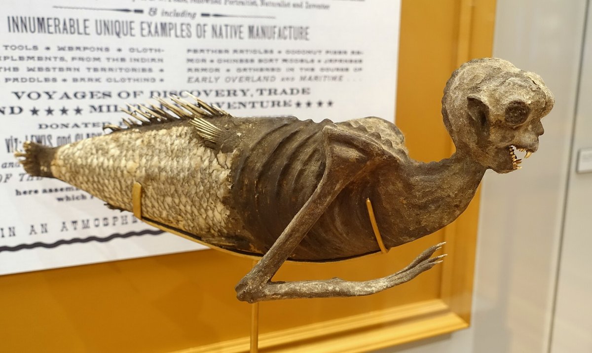 The bizarre tale of the Fiji mermaid sideshow