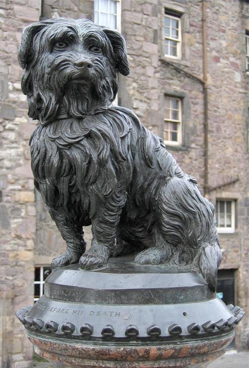 The dog that guarded a grave for 14 years