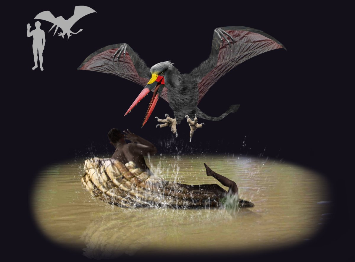 The mysterious kongamato and its deadly legend