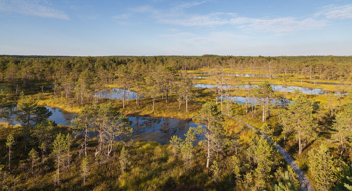 Estonia's park has manors and a secret base