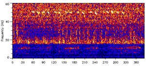 The world's loneliest whale sings at 52 hertz