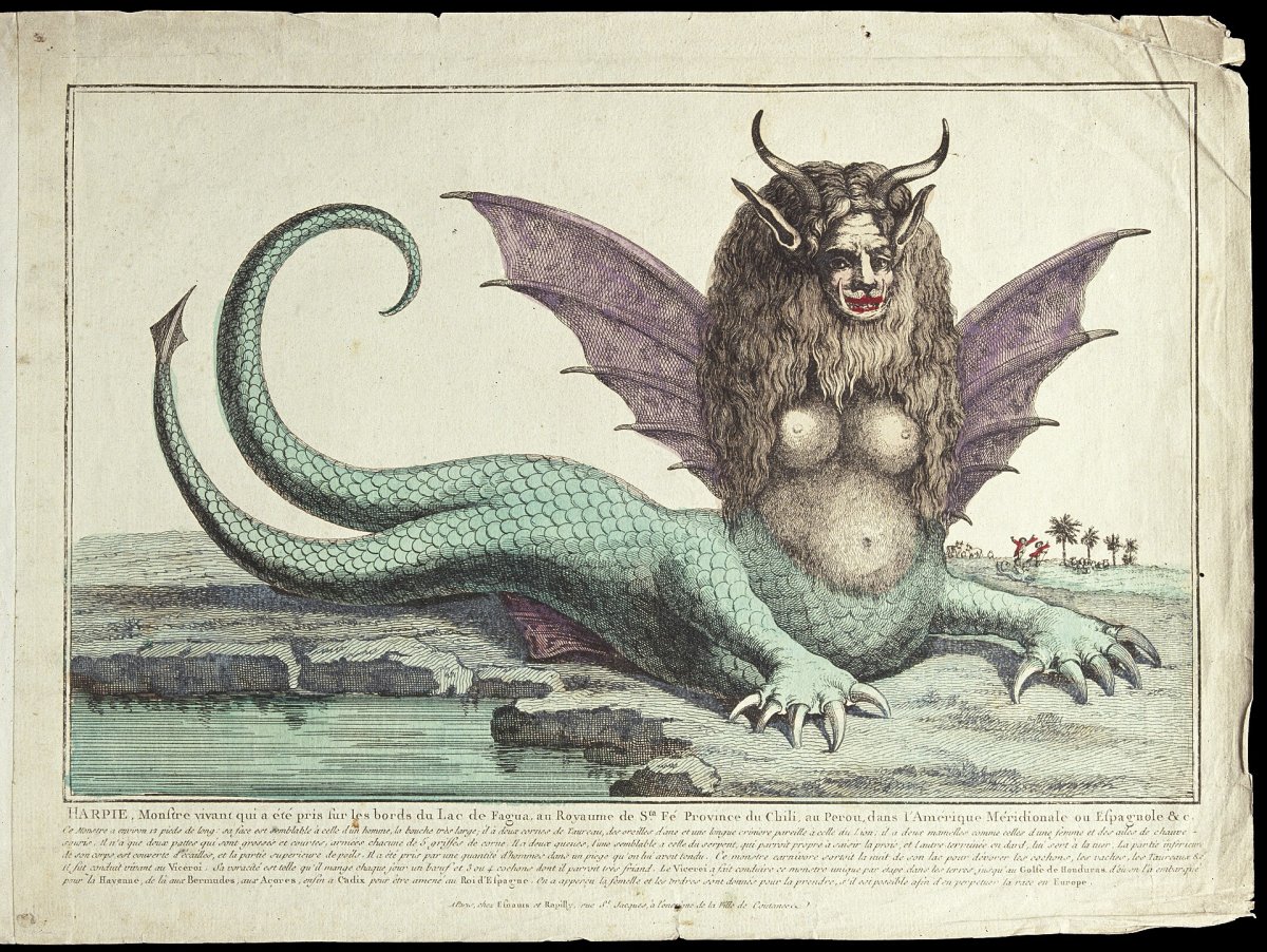 The creature that captivated Europe from Chile