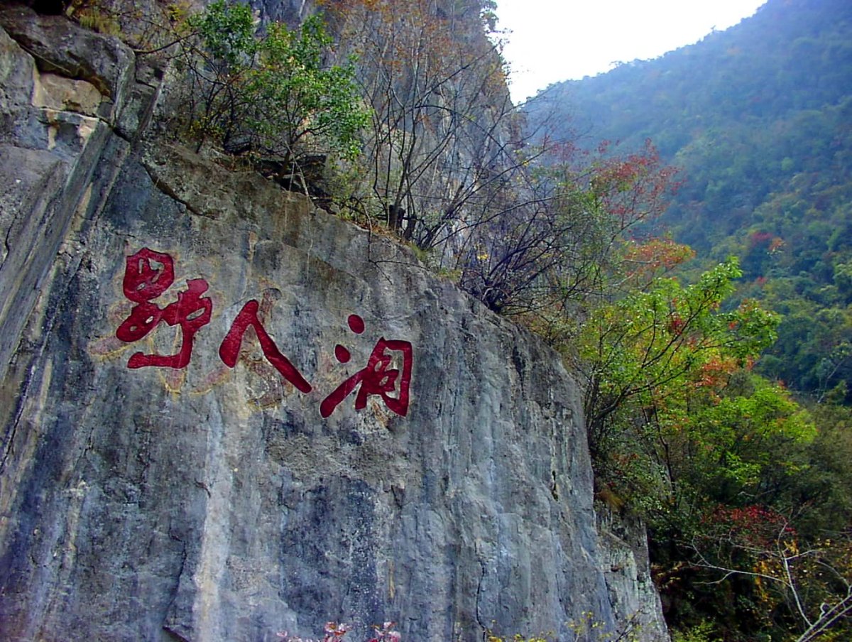 The elusive yeren: China's legendary wild man
