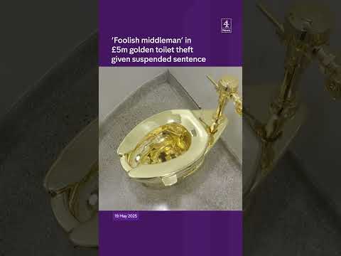 Man in Gold Toilet Heist Gets Suspended Sentence