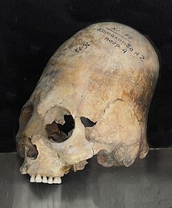 Peruvian Mummy Antonio Declared Authentic by Leading Scientists