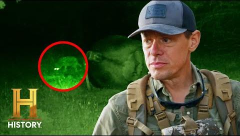 Mysterious Cattle Mutilations in Oregon Baffle Authorities and Ranchers