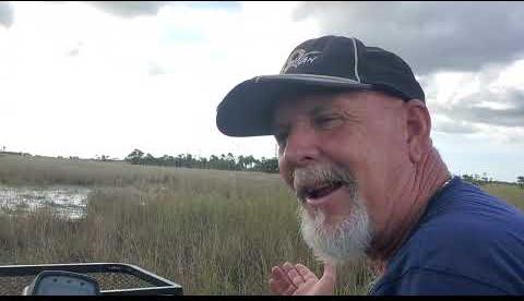 Florida Skunk Ape: Myth or Reality in Sunshine State?
