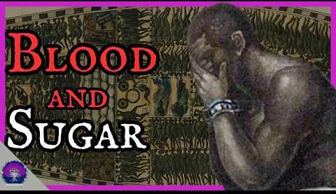 Caribbean Slave History Preservation Urgently Needed Amid Disasters