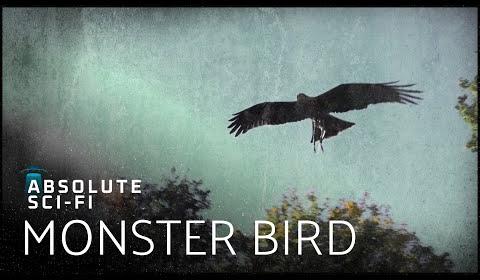 Mysterious Thunderbird Sightings in Pennsylvania Intrigue Investigators and Locals
