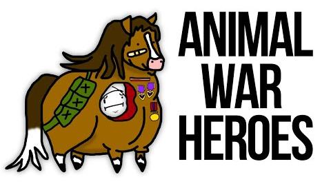 Bizarre World War II Events Unveiled: From Bears to Bats