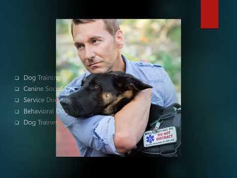 Man and Dog Tragically Lose Lives in Simi Valley Incident