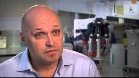 Pioneering Study Reveals Potato’s Surprising Genetic Origins